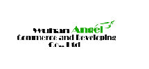 Wuhan Angle Commerce and Developing Co.,Ltd
